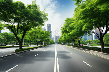 道路旁风景道路旁的绿树背景