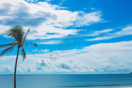 海洋海滩美景背景图片