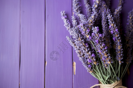 薰衣草和紫色墙壁图片