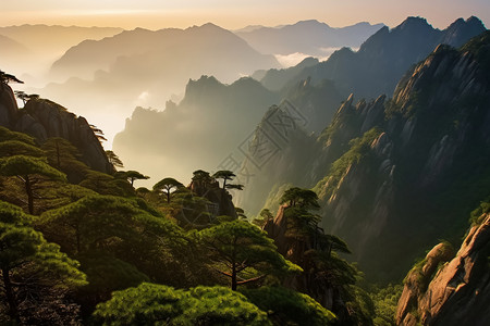 植被茂盛的黄山图片