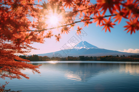 富士山下的风景图片