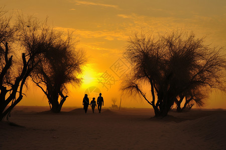 沙漠中的胡杨树和人背景图片