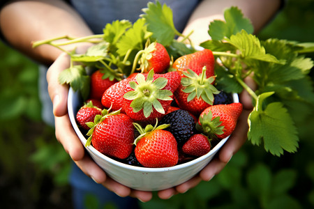 营养丰富的草莓高清图片