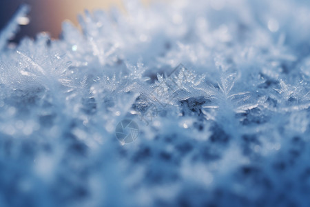 雪地的冰花图片