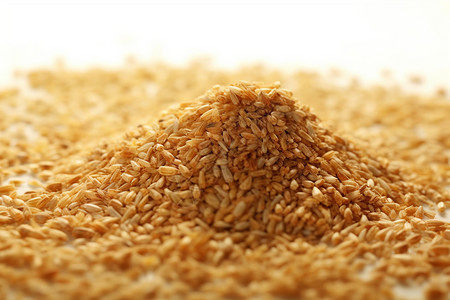 营养的小麦胚芽图片