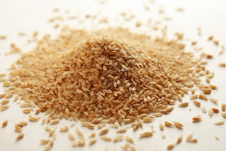 大米胚芽健康的小麦胚芽背景