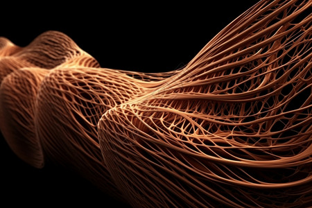 3D的骨骼肌纤维设计图片