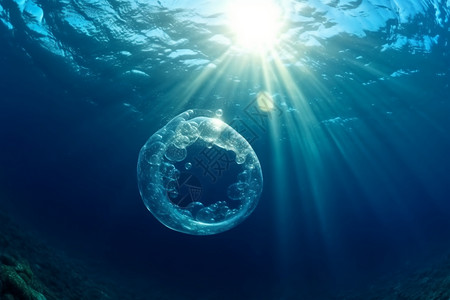 水母与泡泡清澈的海水中上升的气泡设计图片