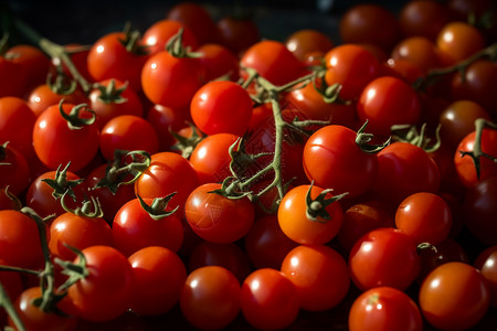 营养多汁的番茄背景图片