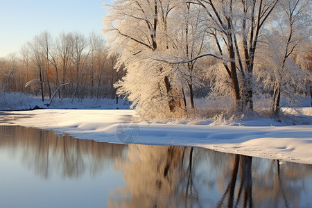 冬季宁静的公园图片
