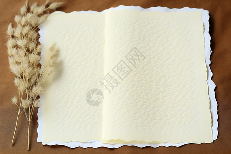 羊皮书米色的羊皮纸背景