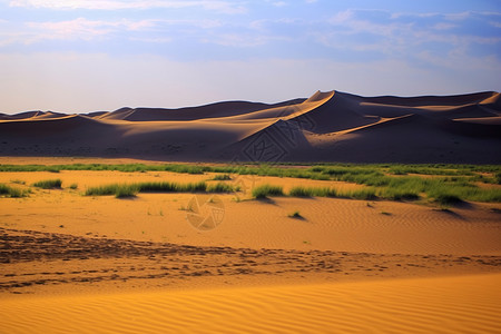 沙漠西北风光背景图片