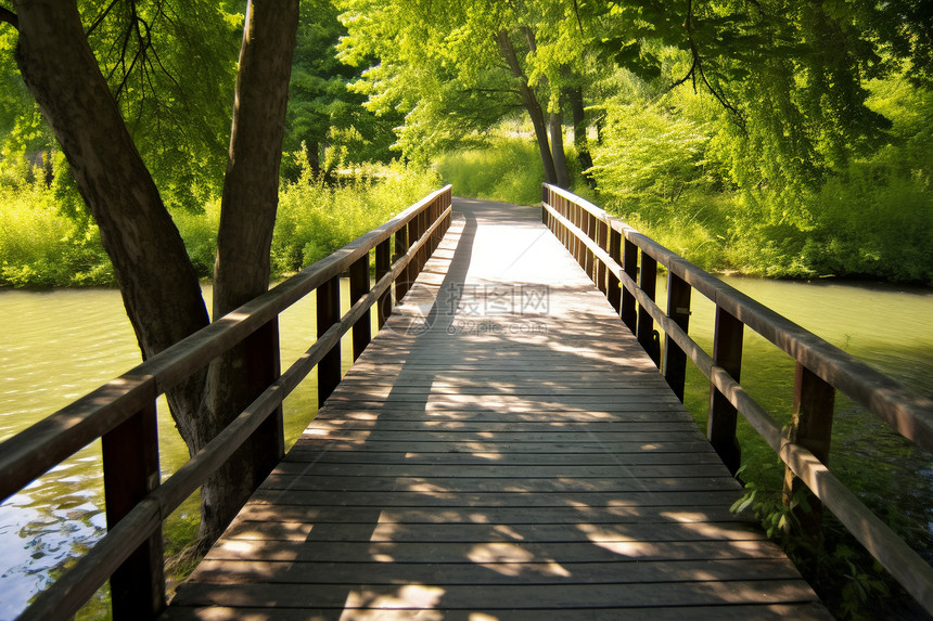 公园深处的小木桥图片