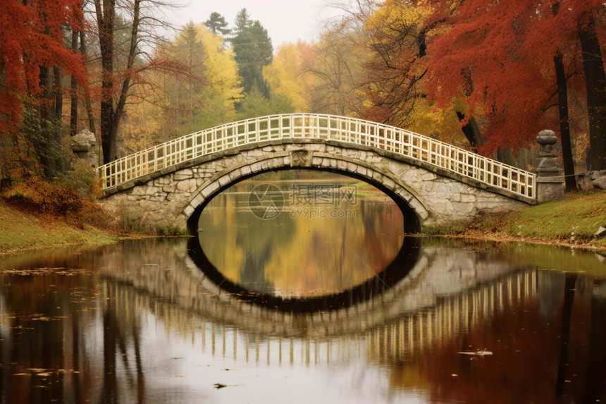 秋天飘满落叶的河流图片