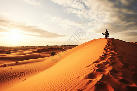 沙漠中的冒险者背景图片