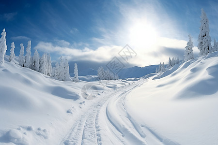 冬天的雪景图片