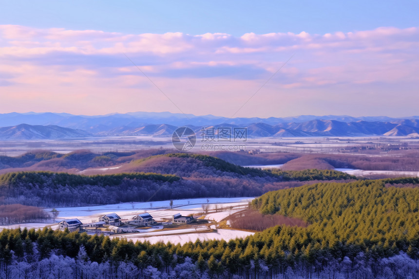 森林公园雪景图片