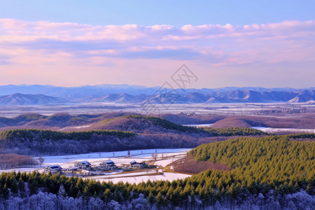 森林公园雪景高清图片