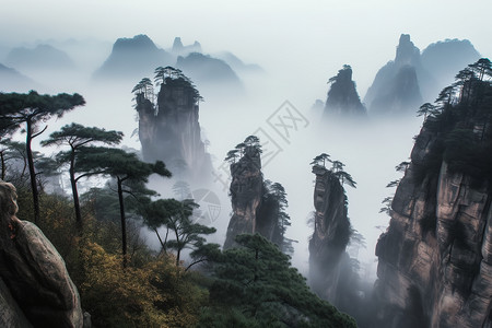 雾中的山林奇观背景图片