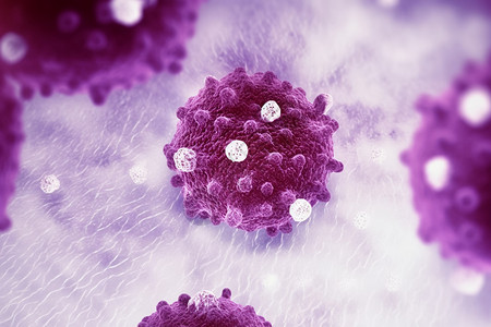 紫色的杯状病毒高清图片