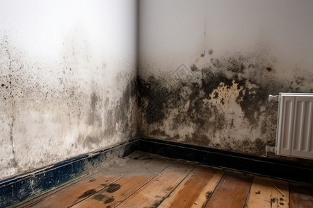地板墙角卧室墙角的霉菌背景