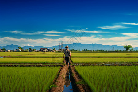 田间地头的农民背景