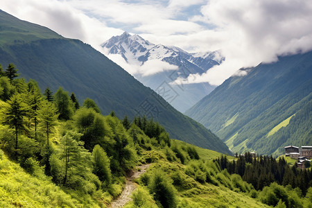 乡村的风景图片