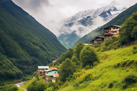 乡村的美丽风景图片