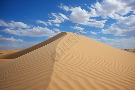 撒哈拉沙漠壁纸高清图片