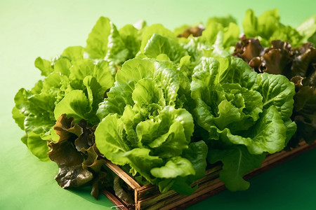 新鲜健康的绿色蔬菜图片