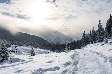 山林小道冬季雪地山林风景背景