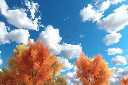 晴朗天气五颜六色的树叶背景图片