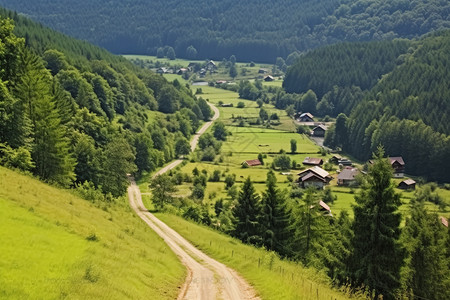绿色自然的乡村图片