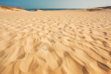 沙滩自然贫瘠的高清图片