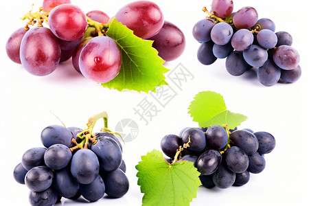 不同品种的葡萄水果背景图片