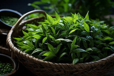 高清的绿色茶叶背景图片