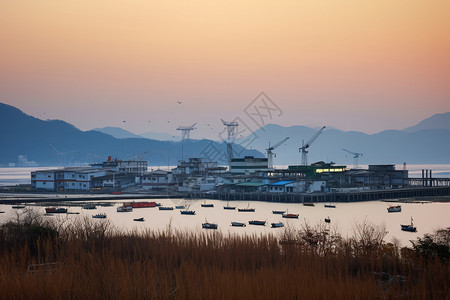 渔业基地黄昏时分渔业的景观背景