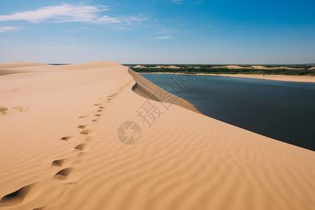 沙丘沙漠的美丽景观图片