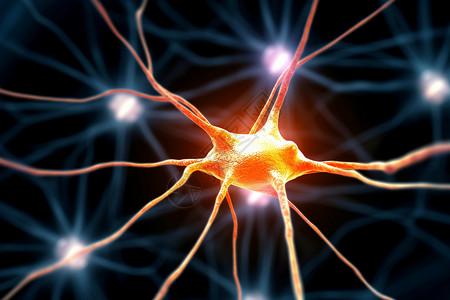 神经元结构背景图片