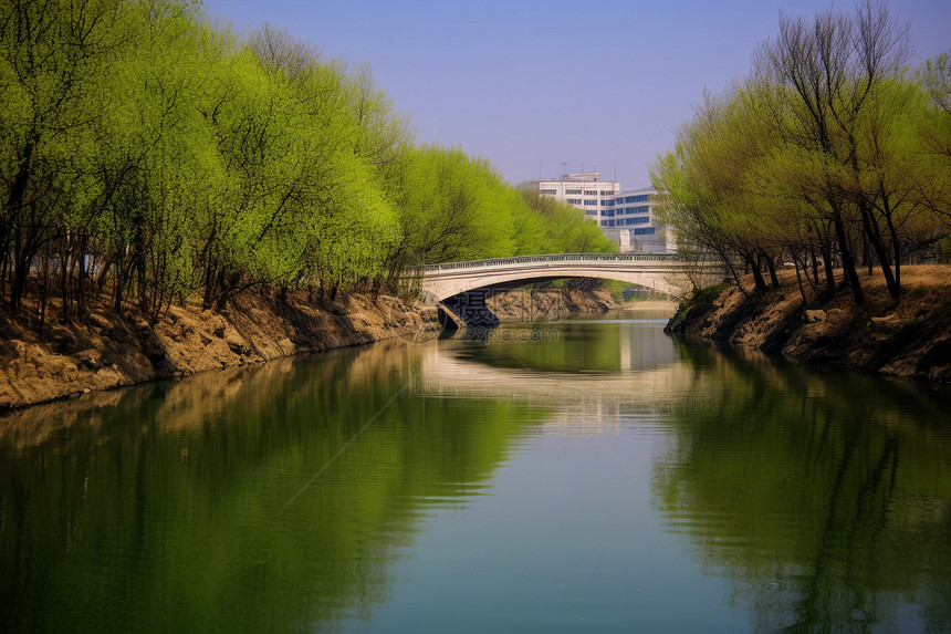 春天城市中的民心河景观图片