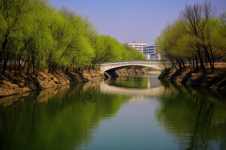 春天城市中的民心河景观图片
