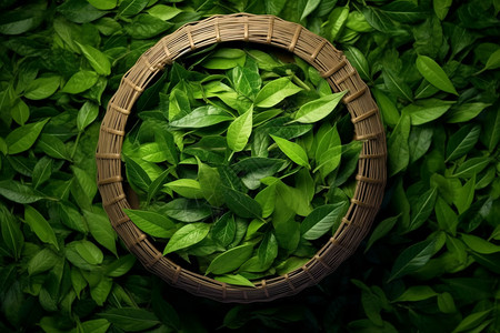 竹篮中堆叠的绿茶叶背景图片