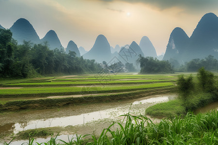 高峰风景图片