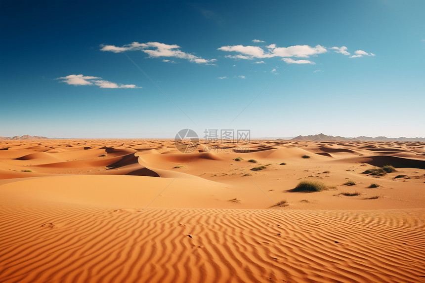 炎热的沙漠图片