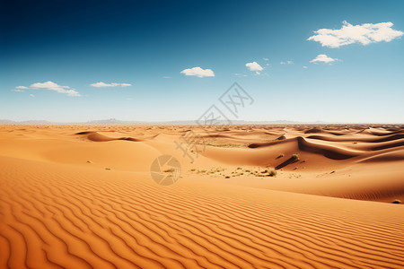 荒芜的沙漠背景图片
