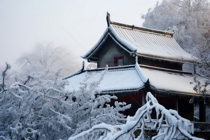 白雪复古的房子图片