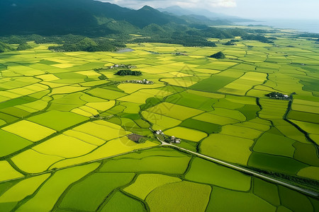 农村的田地鸟瞰图图片