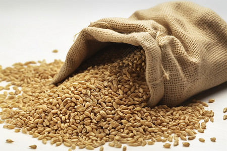 谷物小麦粮食背景图片