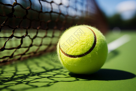 毛质球网前的网球背景