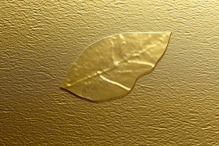 印有叶子痕迹的金箔图片